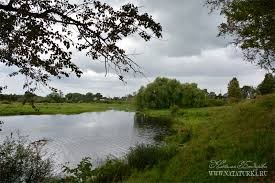 В Псковской области возбуждено уголовное дело из-за аварийного состояния школы в Полоное